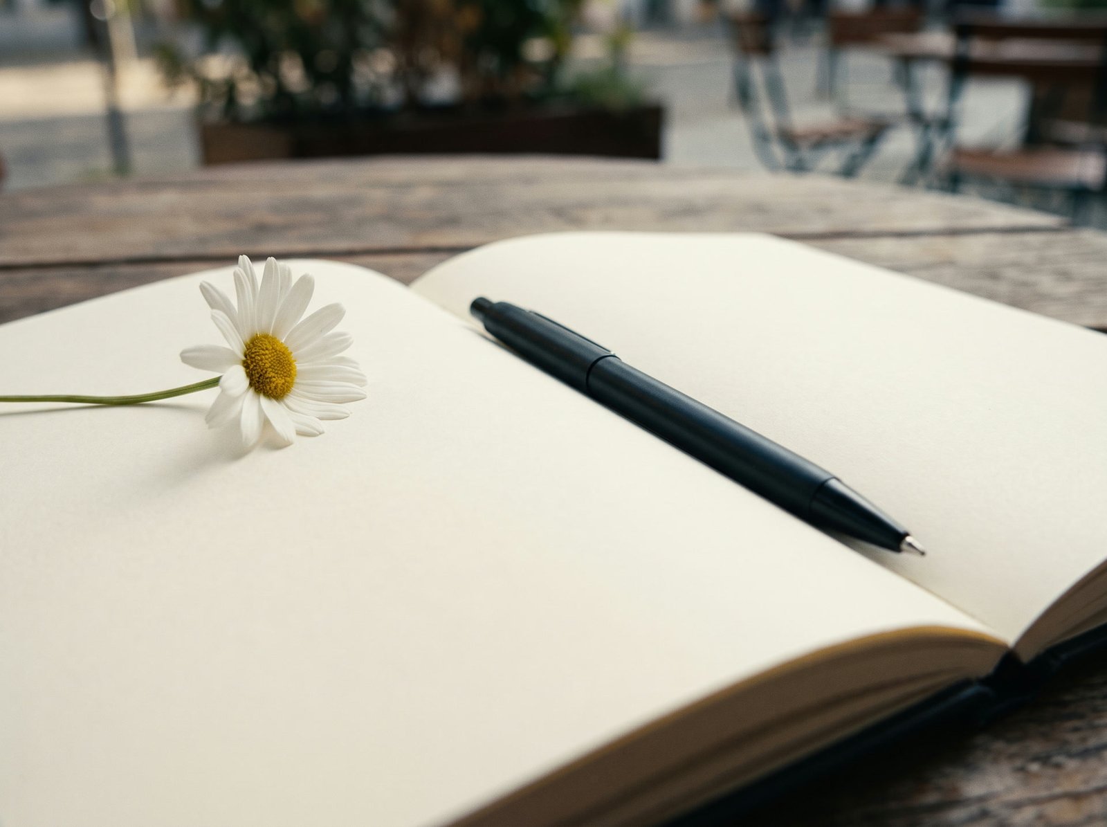 Aufgeschlagenes Journal mit leeren Seiten, einer Margerite und einem schwarzen Stift
